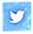 Twitter Twitter